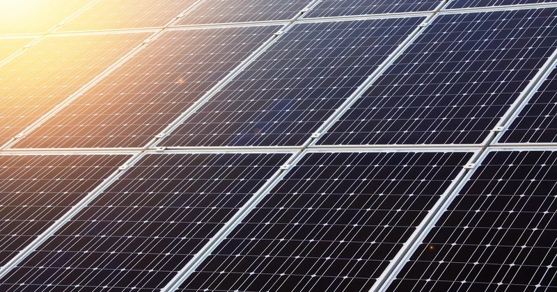 Les options écologiques : une réalité nantaise