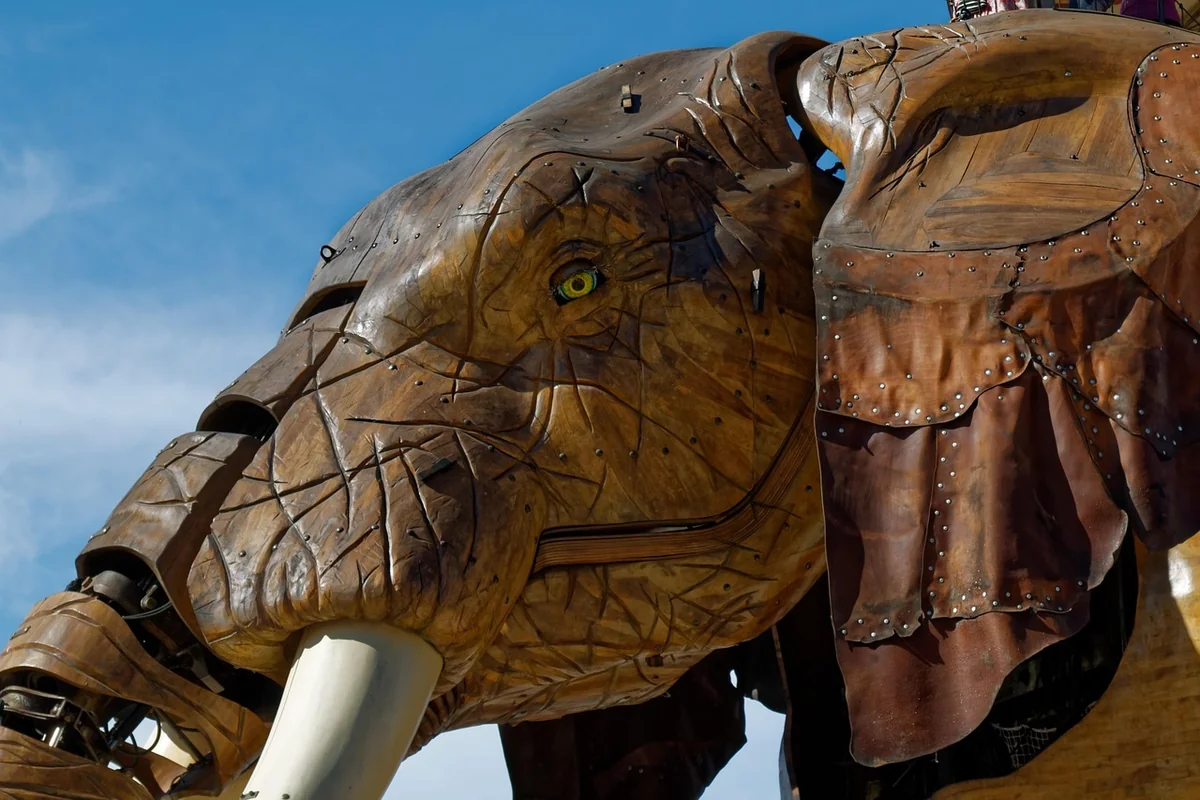 éléphant
