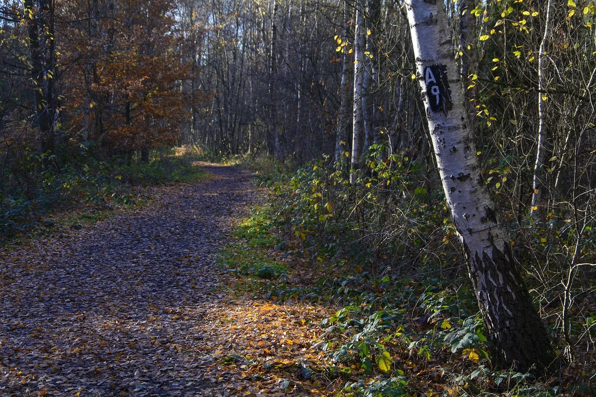 La carte d'identité des 4 statuts juridiques pour l'online